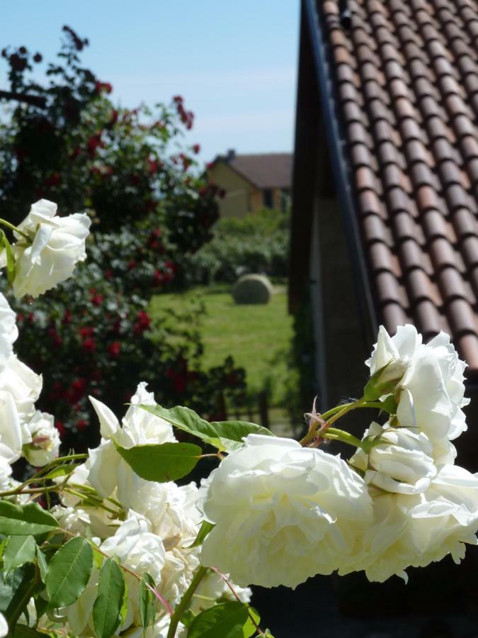 B&B Cascina Marie Bricherasio Zewnętrze zdjęcie